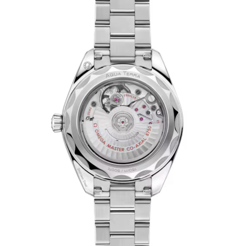 Seamaster Aqua Terra 150M 30 mm, steel on steel Ref. 220.10.30.20.03.001 - Image 5